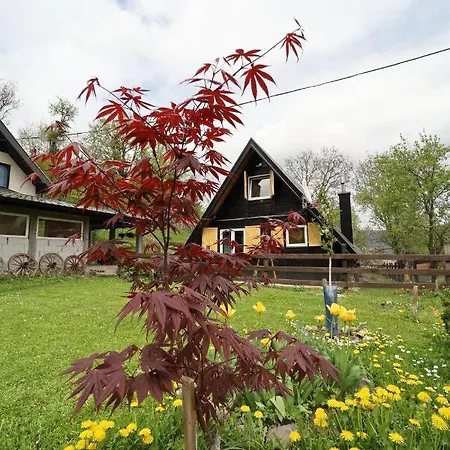 Planinska Kuca Bubi - Tara, Zaovine. Villa Jezdici Exterior photo