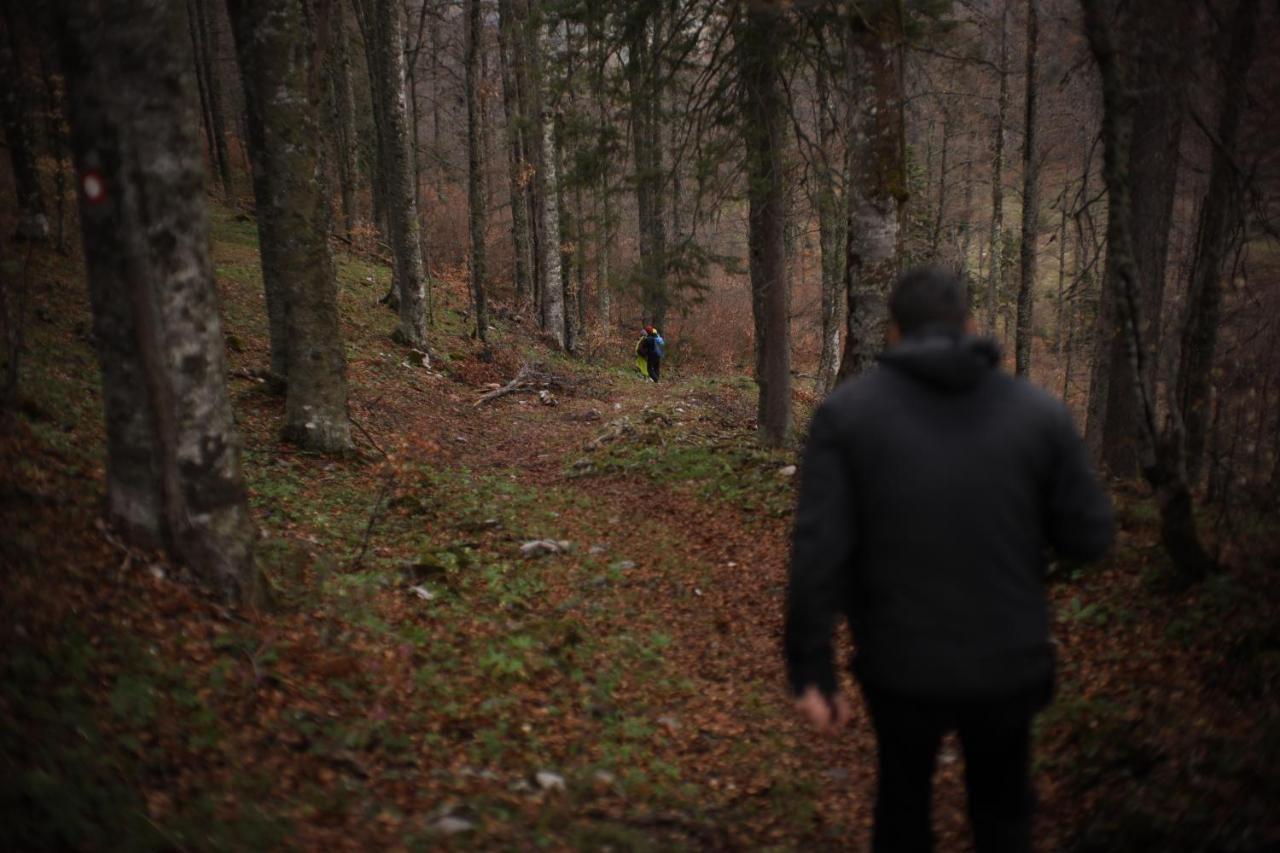 Casa vacanze Planinska Kuca Bubi - Tara, Zaovine. Jezdici