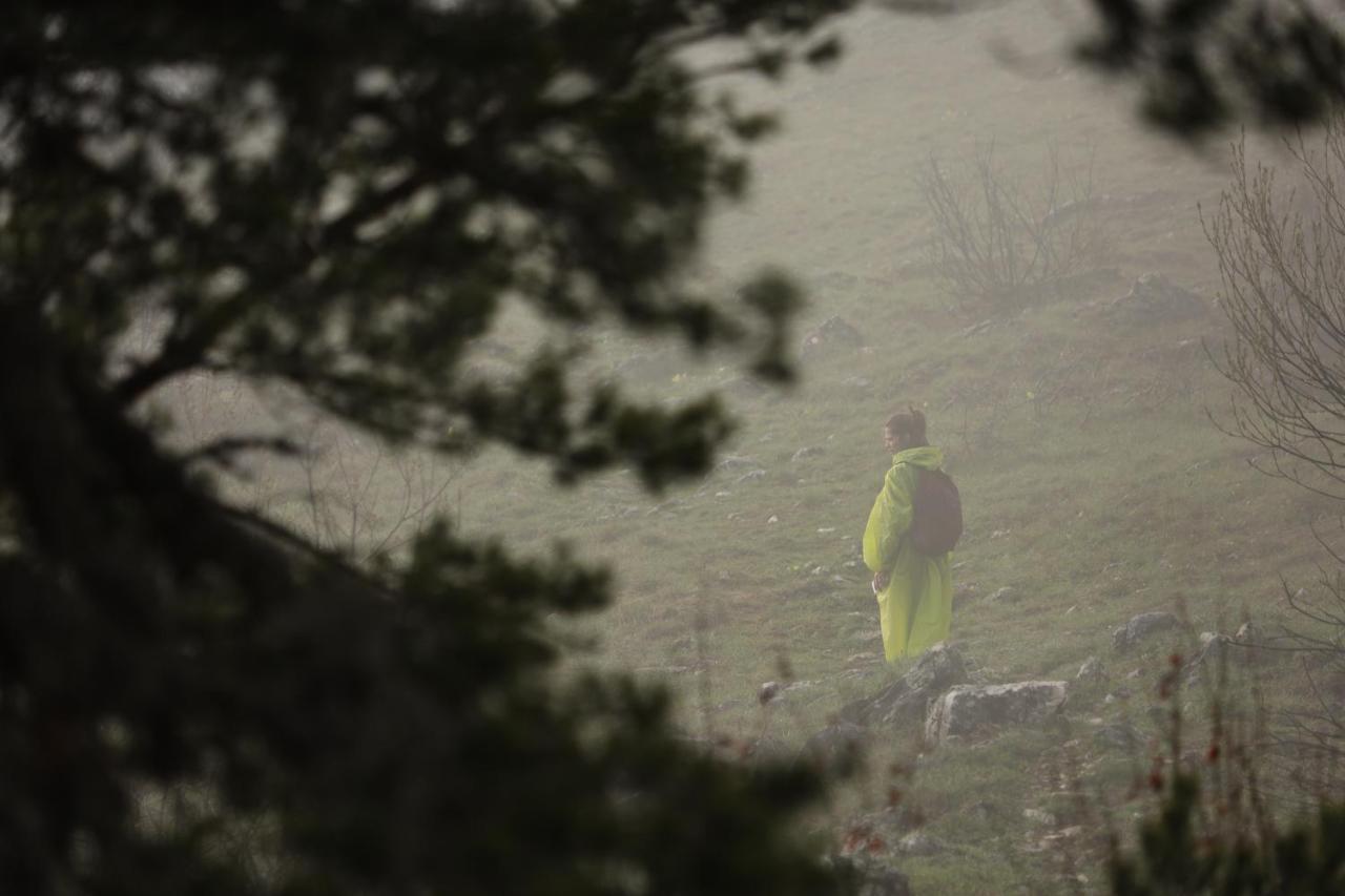 Planinska Kuca Bubi - Tara, Zaovine. Casa vacanze Jezdici