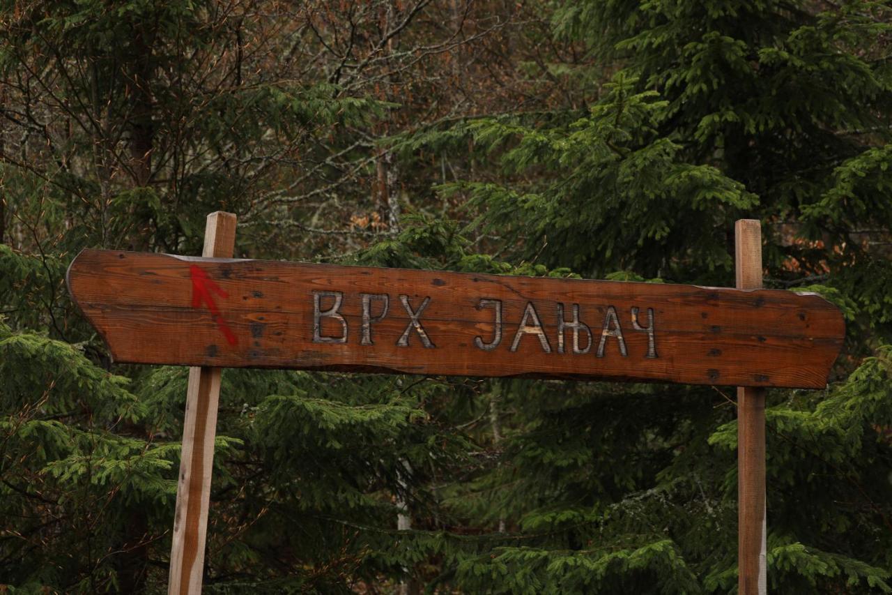 Planinska Kuca Bubi - Tara, Zaovine. Casa vacanze