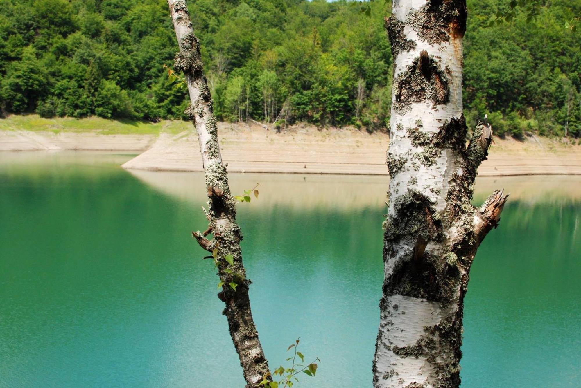 Planinska Kuca Bubi - Tara, Zaovine. Casa vacanze *
