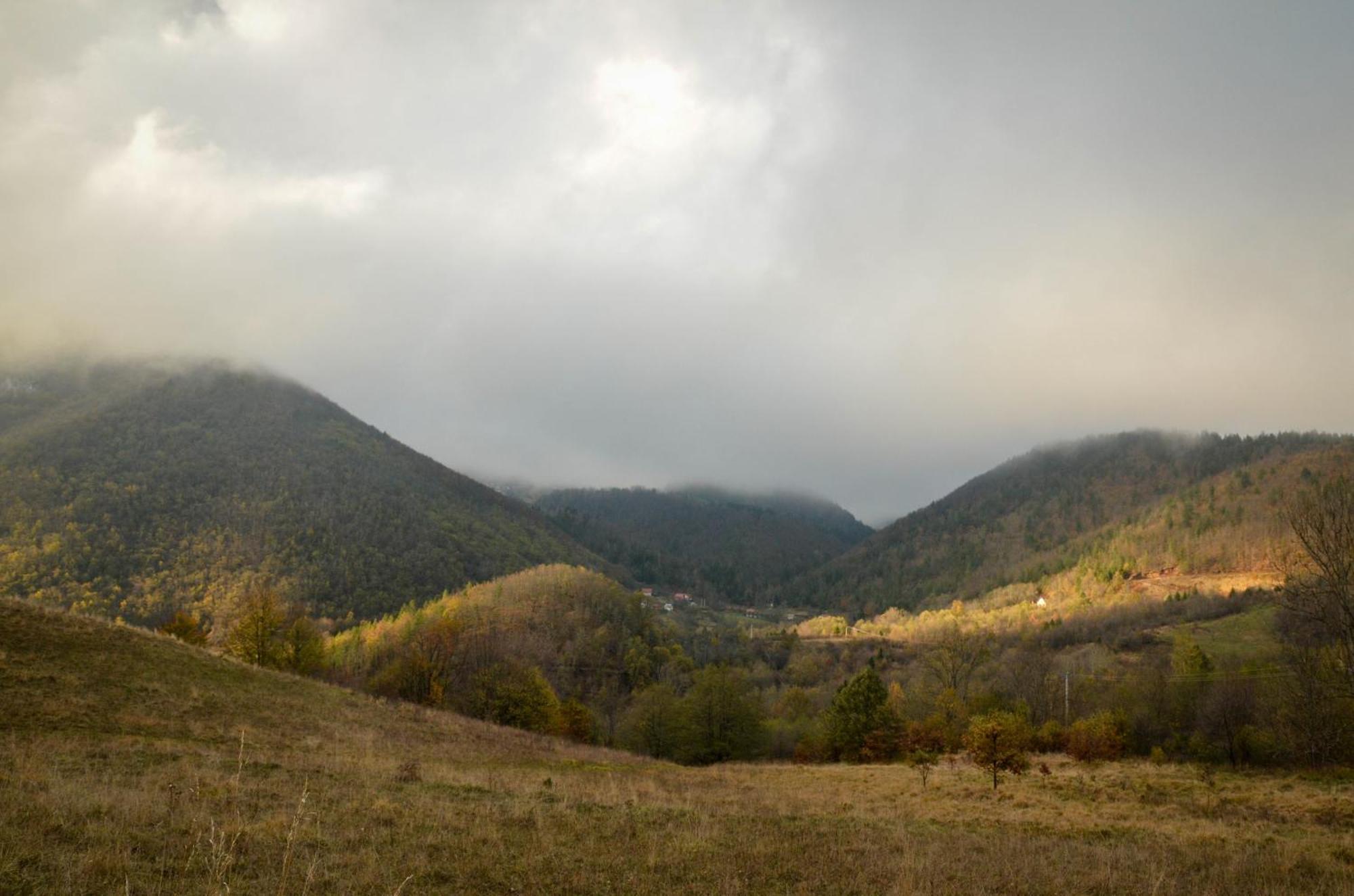 Planinska Kuca Bubi - Tara, Zaovine. Jezdici