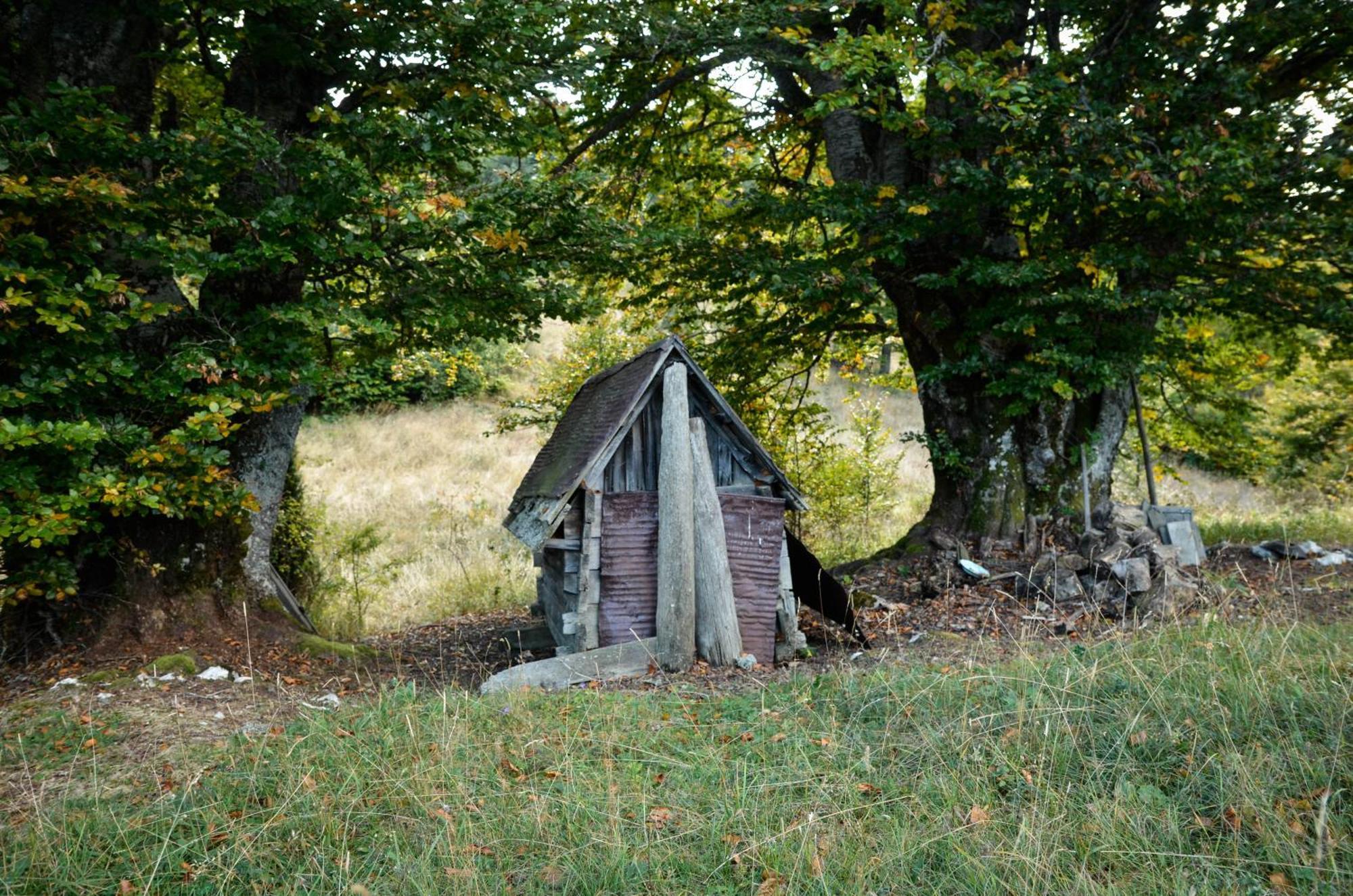 Planinska Kuca Bubi - Tara, Zaovine. Casa vacanze