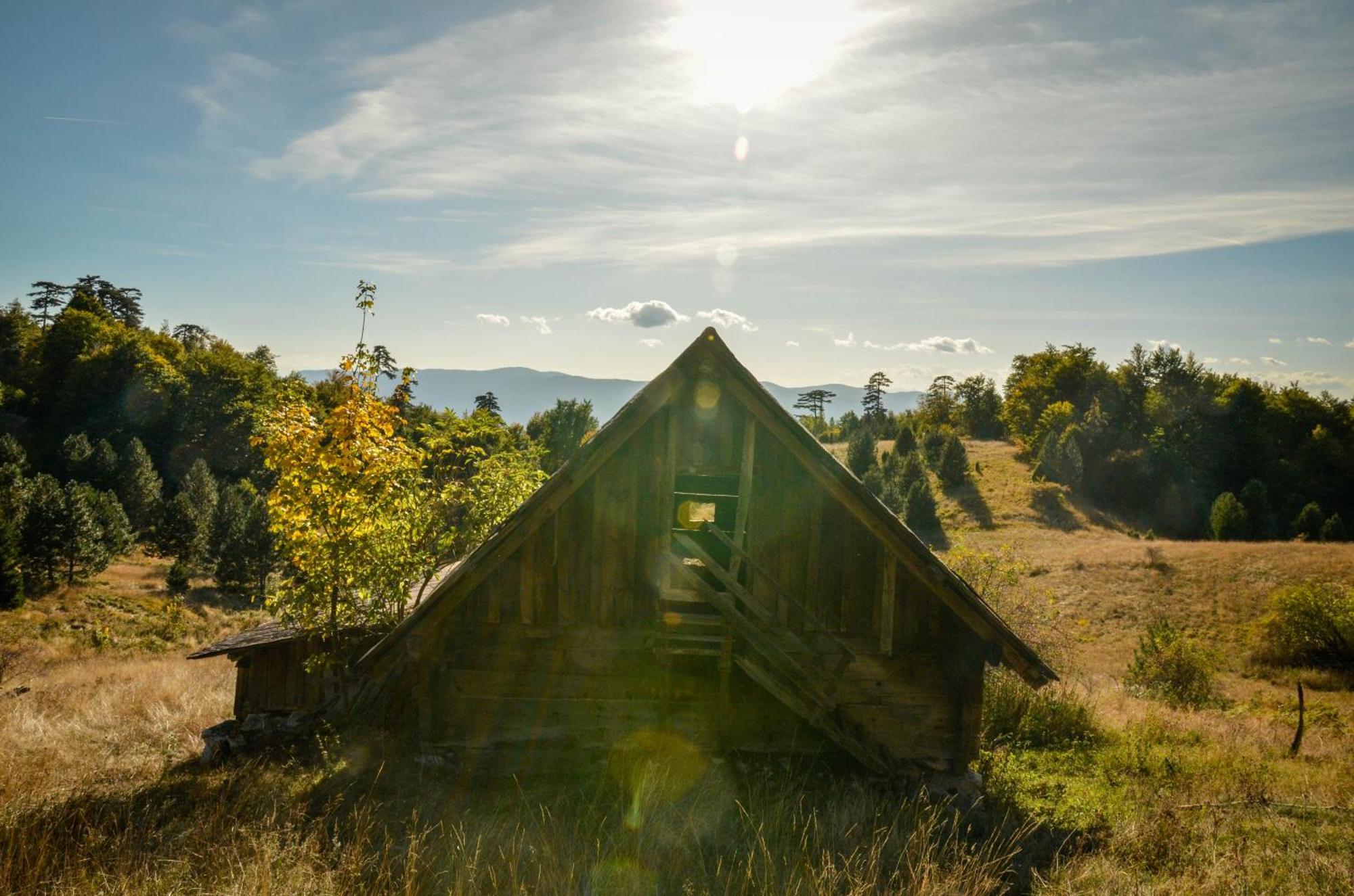 Planinska Kuca Bubi - Tara, Zaovine. Jezdici