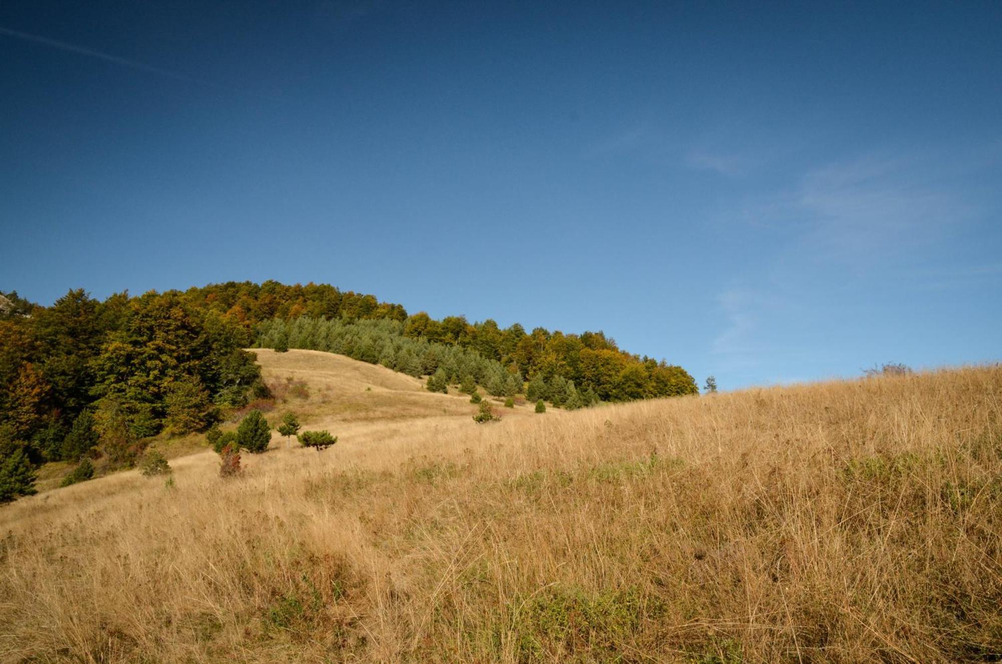 Casa vacanze Planinska Kuca Bubi - Tara, Zaovine. *