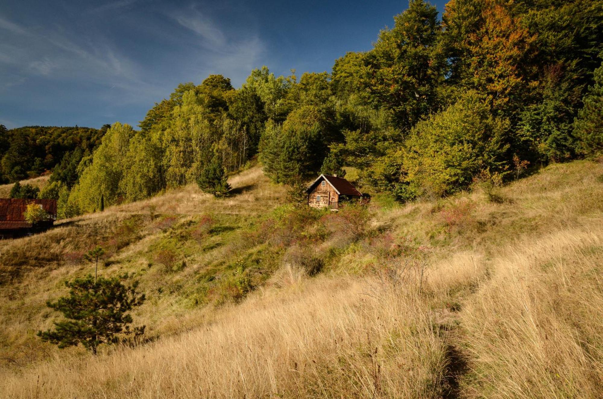 Planinska Kuca Bubi - Tara, Zaovine. * Jezdici