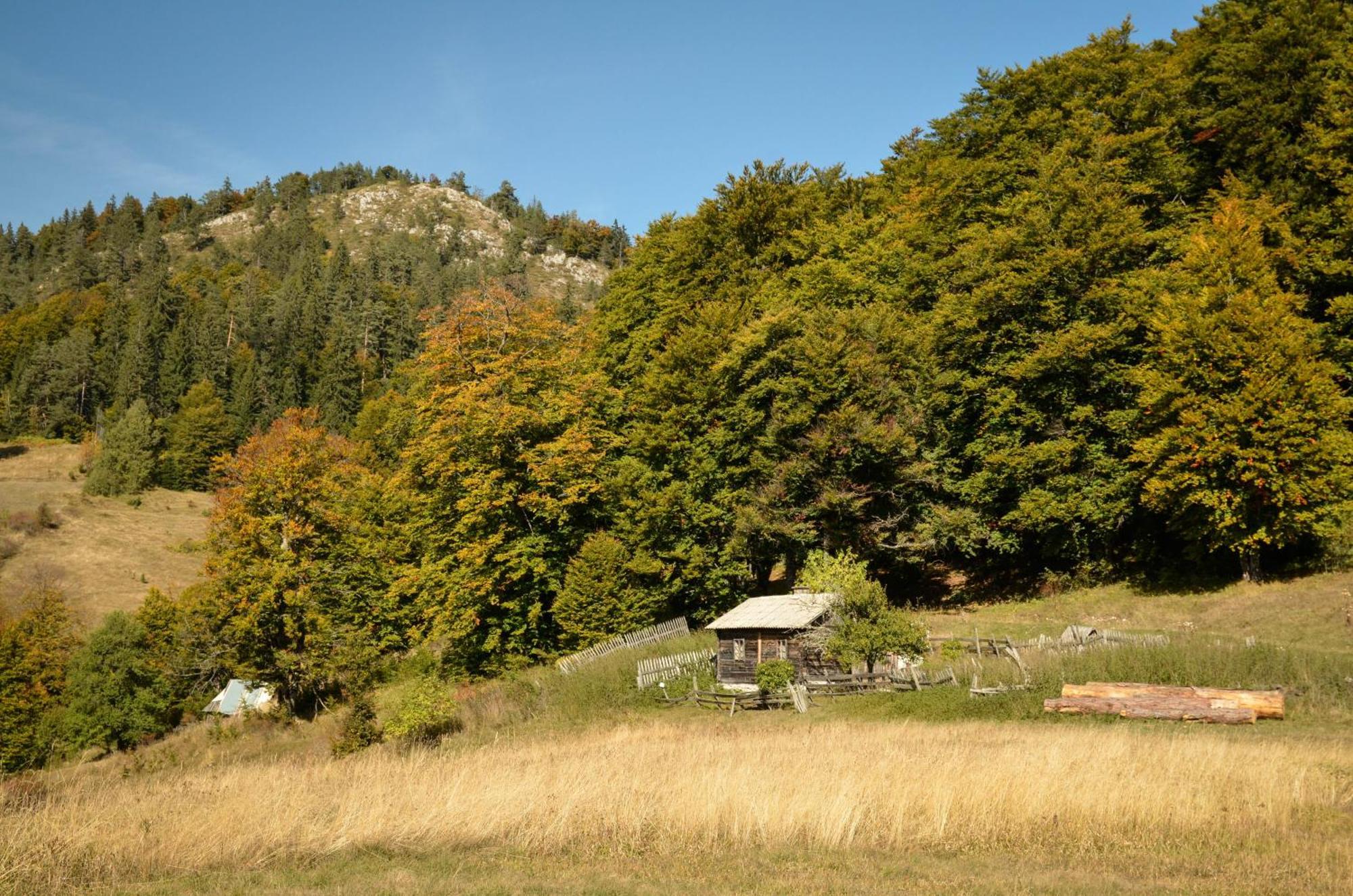 Planinska Kuca Bubi - Tara, Zaovine. Casa vacanze