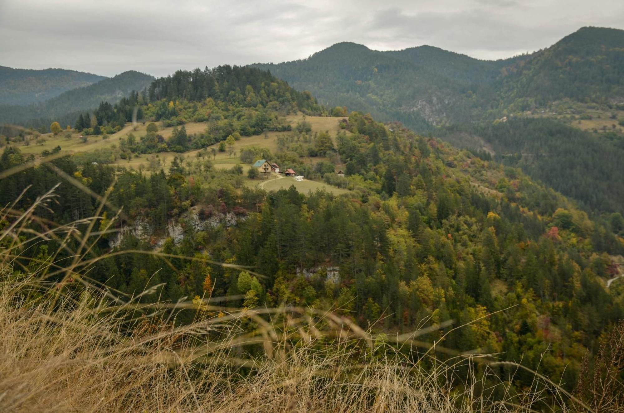 Planinska Kuca Bubi - Tara, Zaovine. Casa vacanze